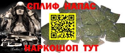 ECSTASY Новодвинск