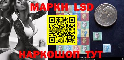 a pvp Новозыбков