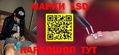 ECSTASY Новодвинск