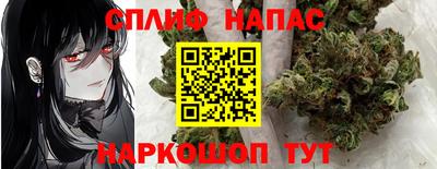 a pvp Новозыбков